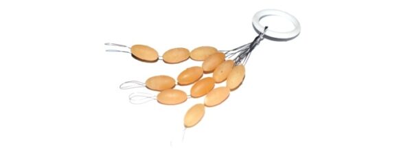 Silikona aizture Fish 2 Fish