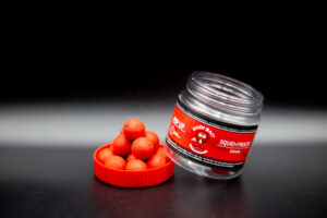 popupsquidcufructe-dudi-scaled Pop up Squid&Forest