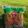 Dudi Bait Hemp Seeds
