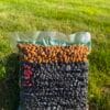 Dudi bait tigernuts